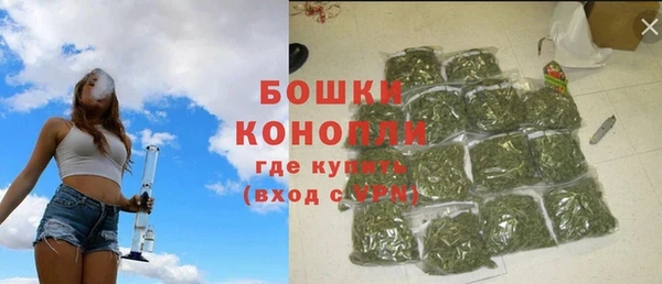 бошки Дмитров