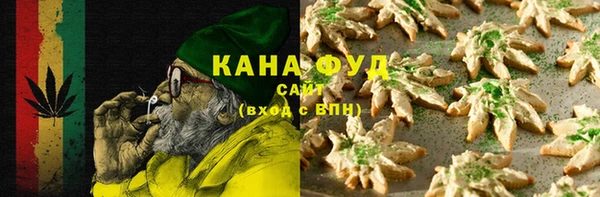 первитин Дмитриев
