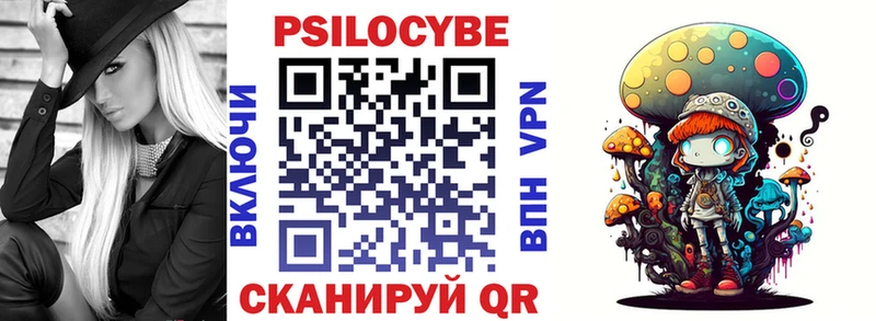 Псилоцибиновые грибы Psilocybine cubensis  Калининград 