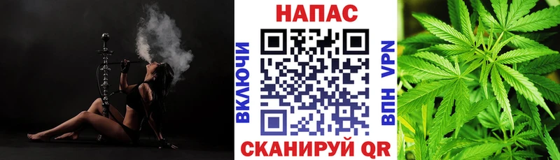 МАРИХУАНА сатива  Калининград 